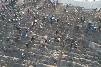 manisada-binlerce-fidan-toprakla-bulusacak