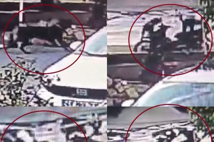 mersindeki-kopek-dehsetinde-yeni-goruntuler-ortaya-cikti-iki-saldirida-kamerada