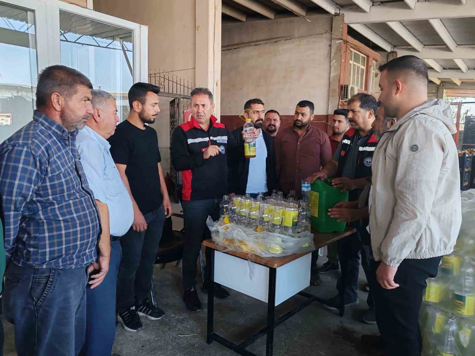 akdeniz-meyve-sinegi-ile-mucadele-suruyor