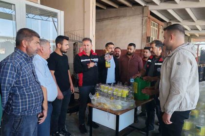 akdeniz-meyve-sinegi-ile-mucadele-suruyor