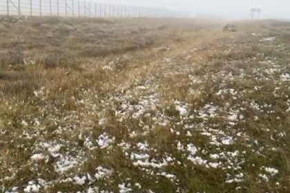 ardahanin-yuksek-kesimlerinde-kar-yagisi-etkili-oldu