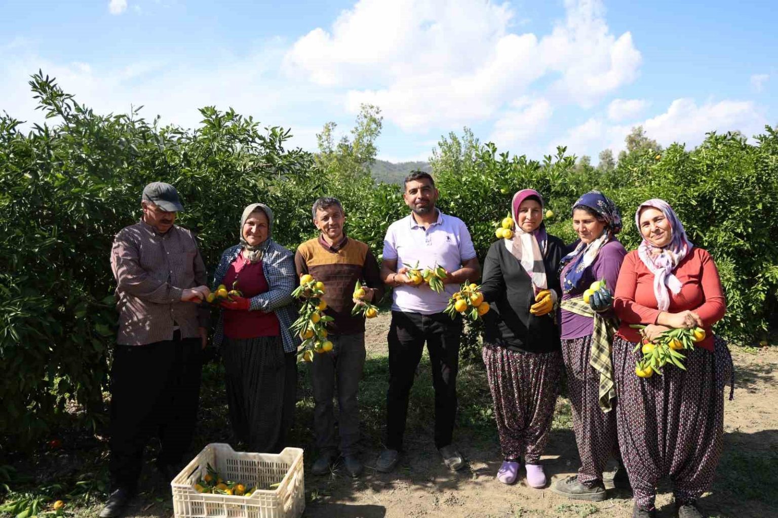 en-ucuz-meyve-mandalina-bahcede-8-tlye-kadar-dustu