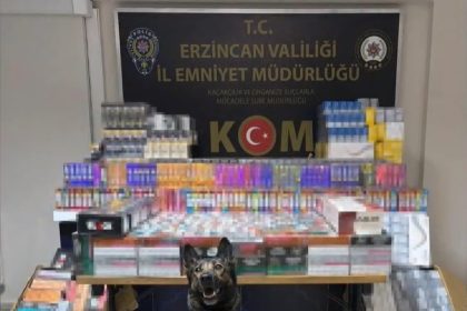 erzincanda-dedektor-kopegi-hera-11-bin-600-kacak-urunu-yakalatti