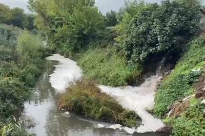 gemlik-korfezinde-kirlilik-endiseye-yolaciyor