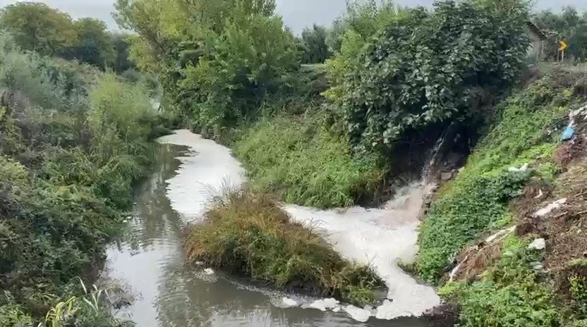 gemlik-korfezinde-kirlilik-endiseye-yolaciyor