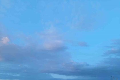 jasat-uyusturucu-tacirlerini-tarlada-yakaladi