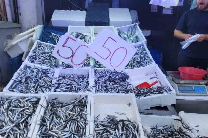 karadeniz-hamsisi-tezgahlari-doldurdu-kilosu-50-lira