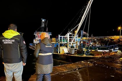 karadenizde-hamsi-yogunlugu-devam-ediyor