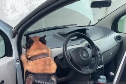 otomobilde-zulalanmis-46-kilo-840-gram-uyusturucu-ele-gecirildi