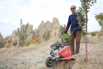 peribacalarini-agaclarla-guzellestiriyorlar