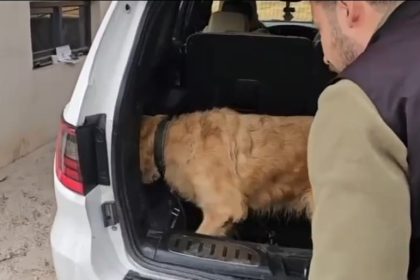 uzumlu-gumruk-muhafaza-ekiplerinden-uyusturucu-operasyonu-luks-otomobilde-60-kilogram-metamfetamin-ele-gecirildi