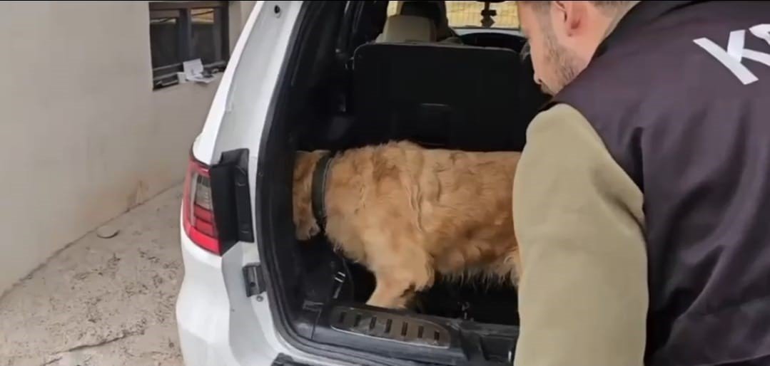 uzumlu-gumruk-muhafaza-ekiplerinden-uyusturucu-operasyonu-luks-otomobilde-60-kilogram-metamfetamin-ele-gecirildi