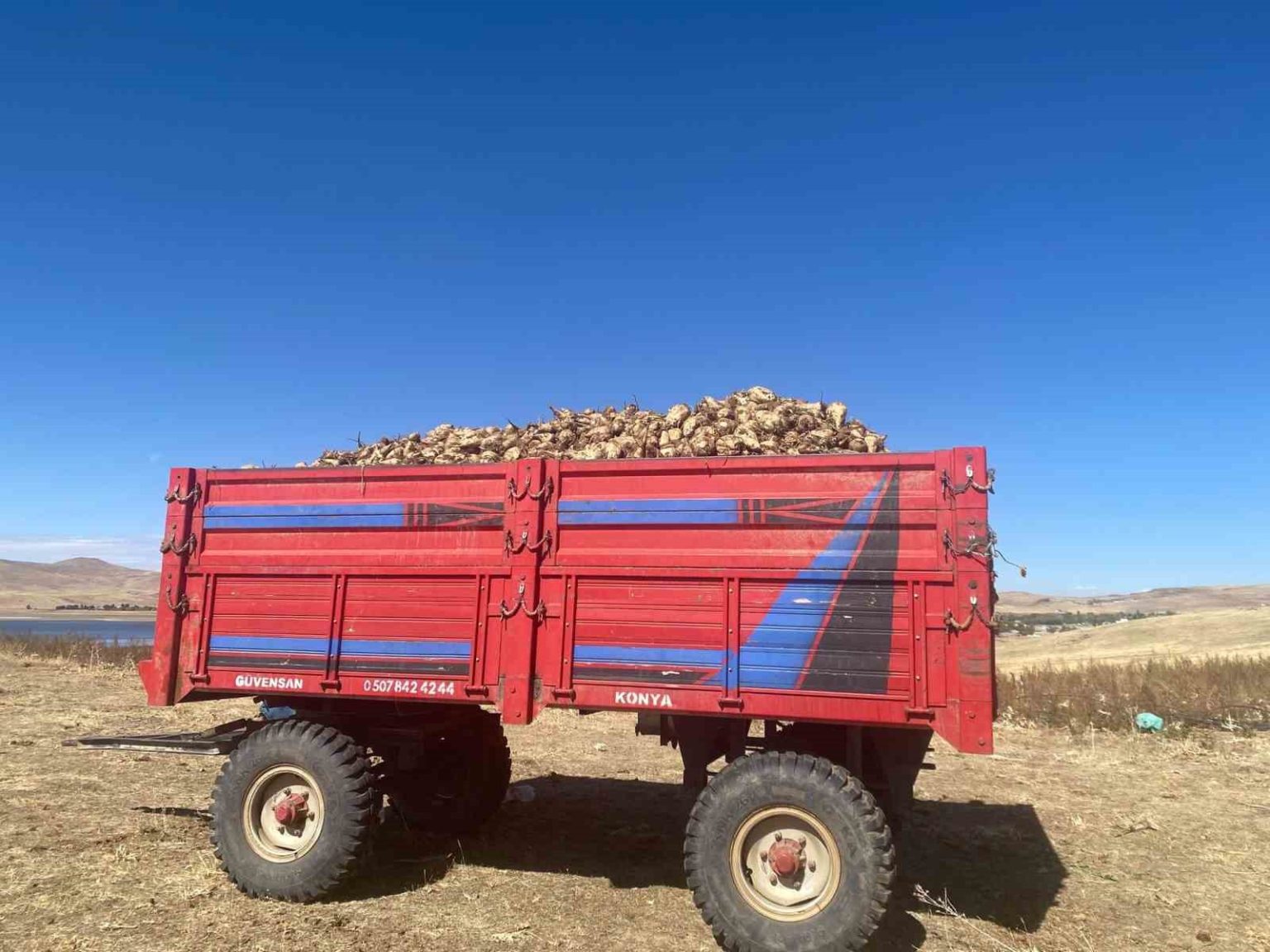 agrida-seker-pancari-hasadi-devam-ediyor