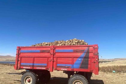 agrida-seker-pancari-hasadi-devam-ediyor