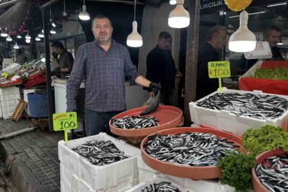 alaplida-hamsi-100-liradan-alici-buldu