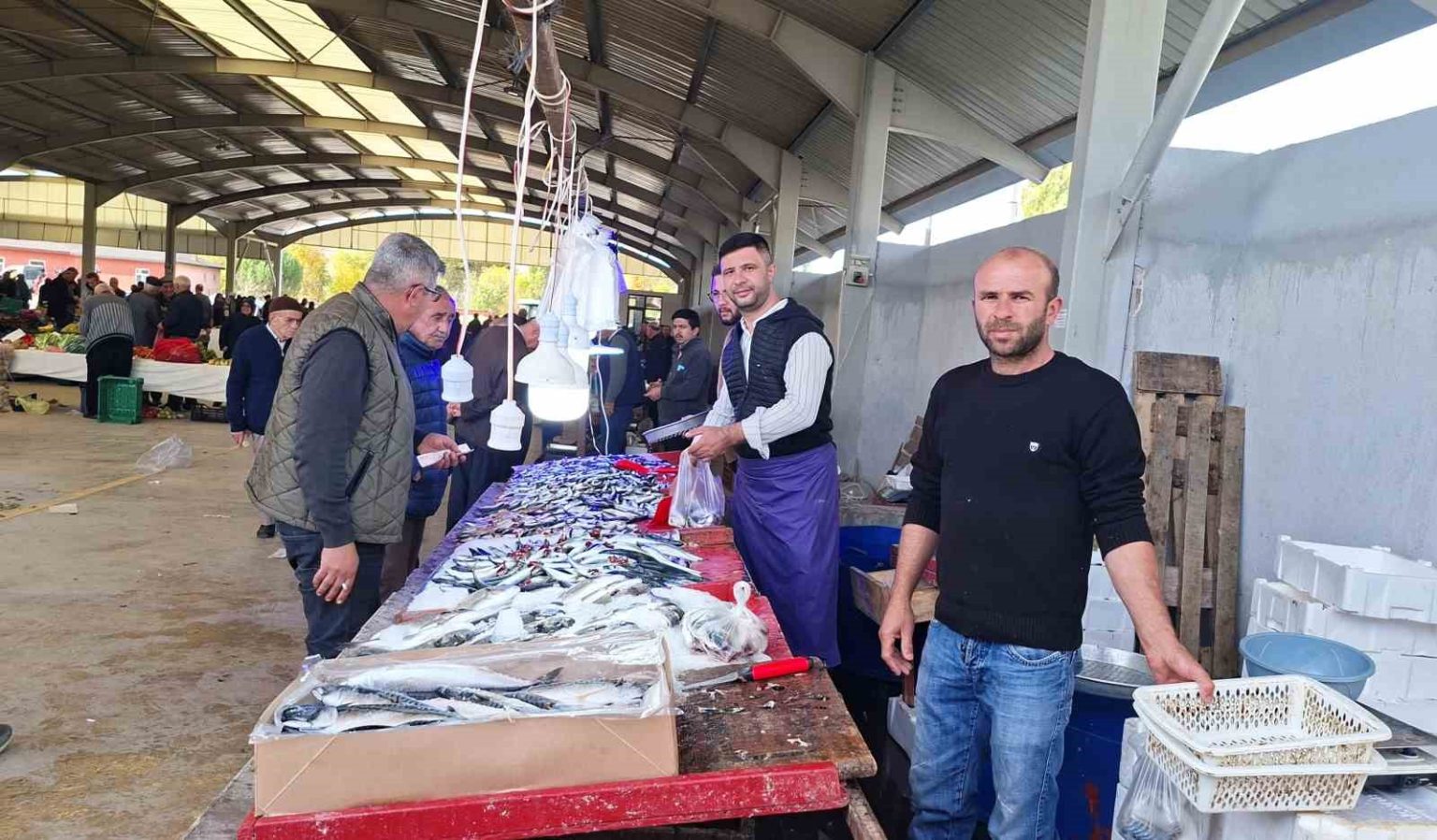 balik-bollasti-fiyatlar-dustu