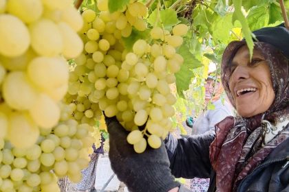 ekim-ayi-bitiyor-uzum-bitmiyor