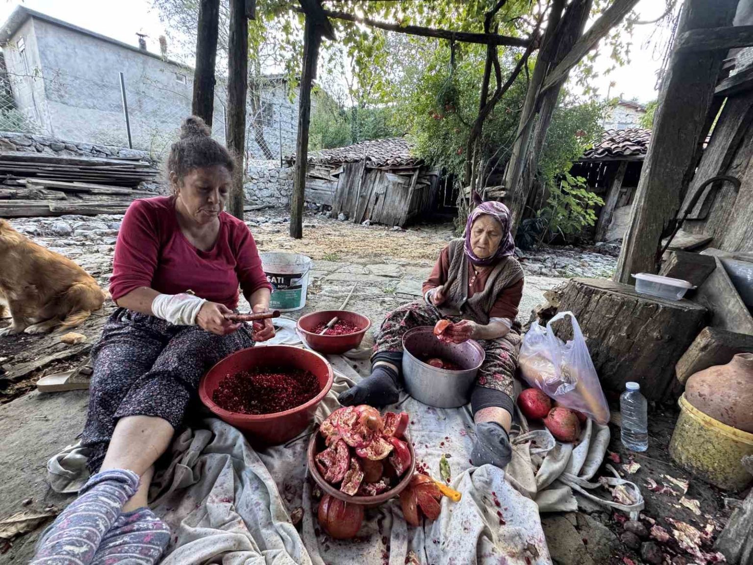 geleneksel-yontemlerle-katkisiz-uretip-kilosunu-600-liradan-satiyorlar