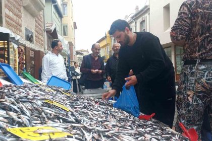 hamsinin-kilosu-50-liraya-dustu-vatandaslar-poset-poset-aldi