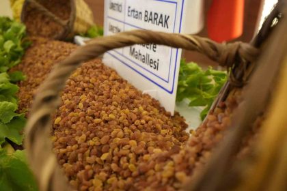 manisanin-9-aylik-tarim-ihracati-7067-milyon-dolara-ulasti