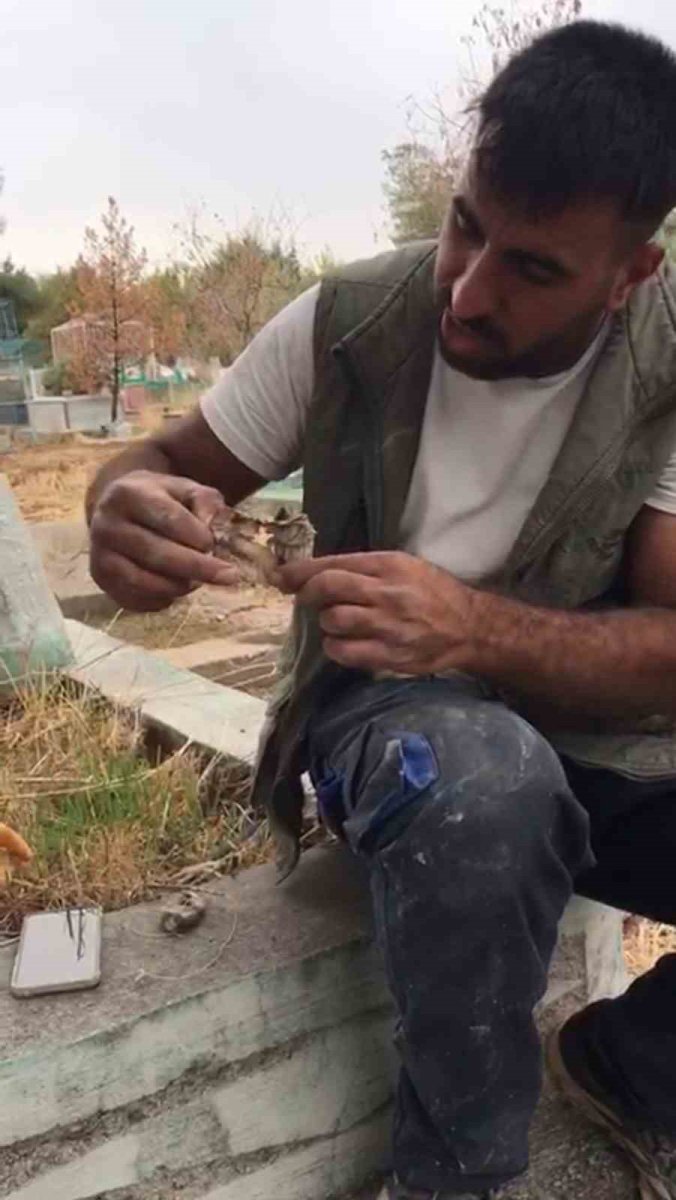 mezarliktan-kefenlenmis-oyuncak-bebek-cikti