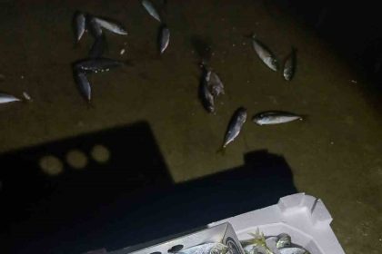 yasal-boy-denetimi-bin-845-kilo-istavrite-el-konuldu