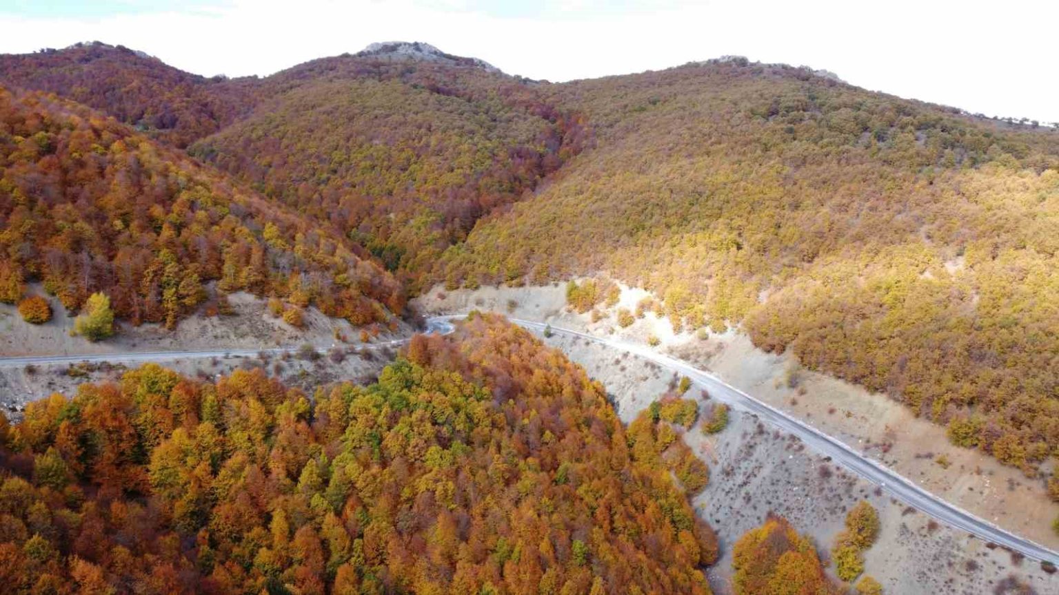 adeta-dogada-bir-tablo-sebek-gecidinde-sonbahar-guzelli-mest-ediyor