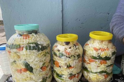 agrili-kadinlarin-geleneksel-tursu-kurma-mesaisi-basladi