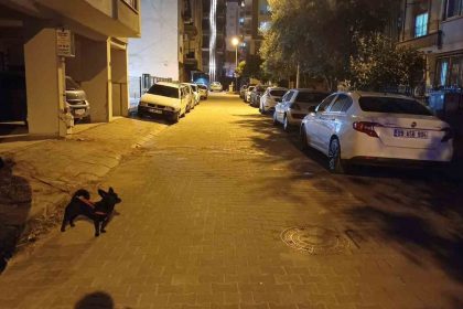 balikesirdeki-deprem-aydinda-da-hissedildi