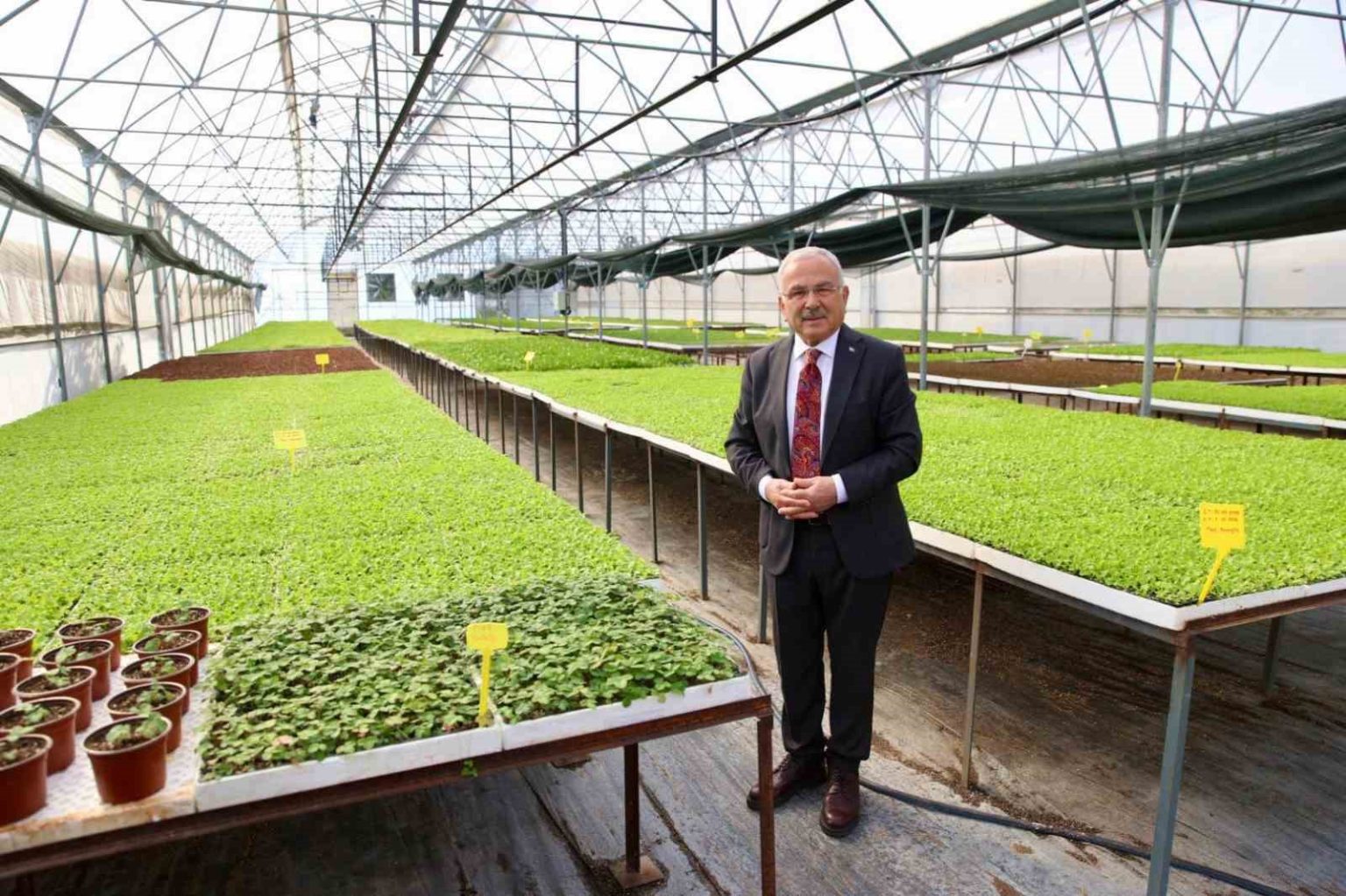 baskan-guler-urettigimiz-4-milyon-600-bin-fideyi-ureticilerimize-dagittik