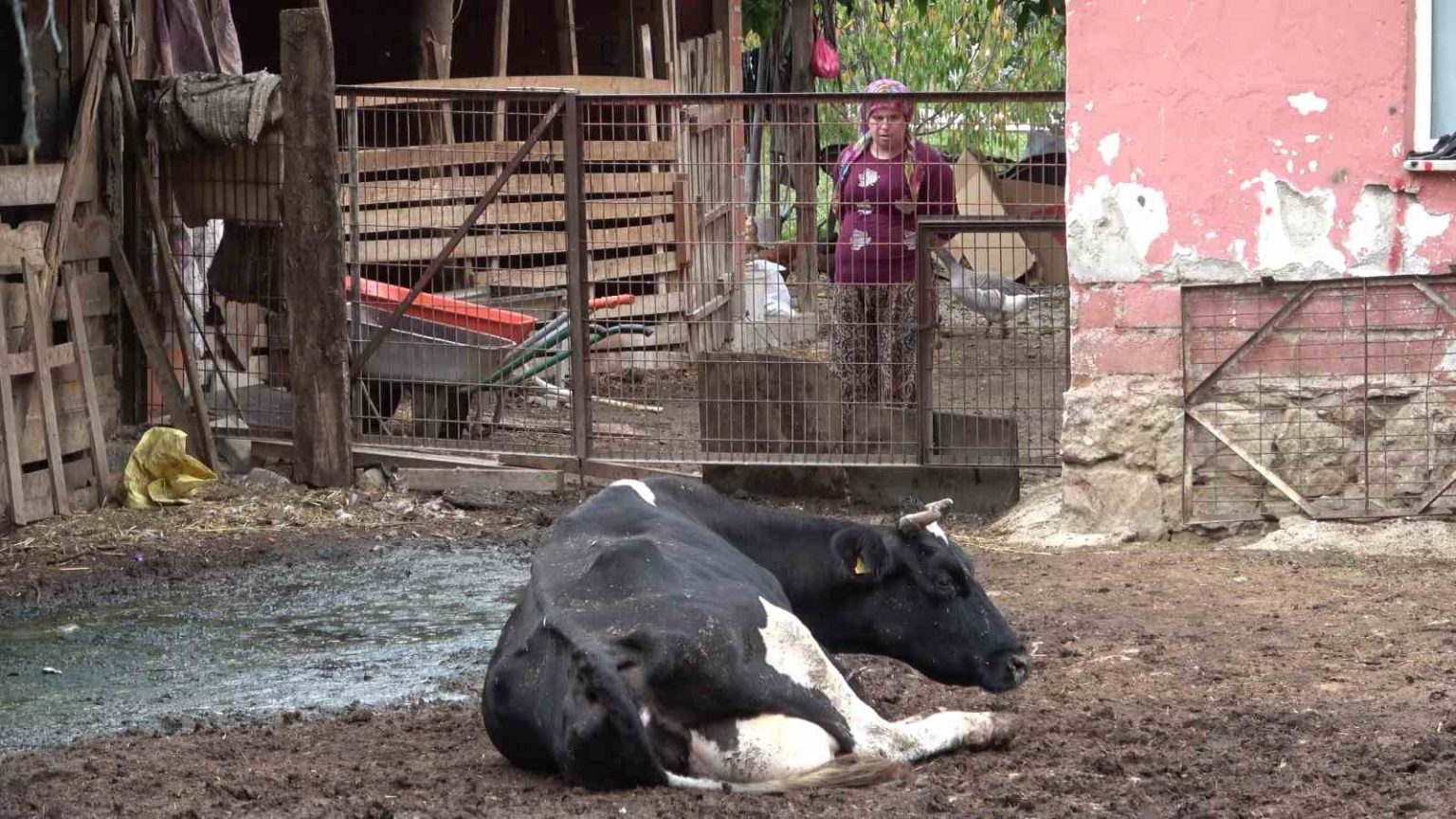 besiciler-sapin-yol-actigi-zararlarin-karsilanmasini-istedi