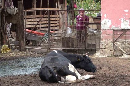 besiciler-sapin-yol-actigi-zararlarin-karsilanmasini-istedi