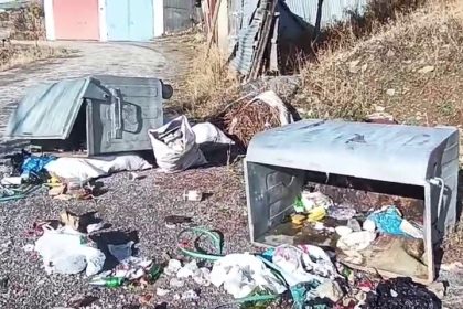 boz-ayilar-yedigolleri-savas-alanina-cevirdi