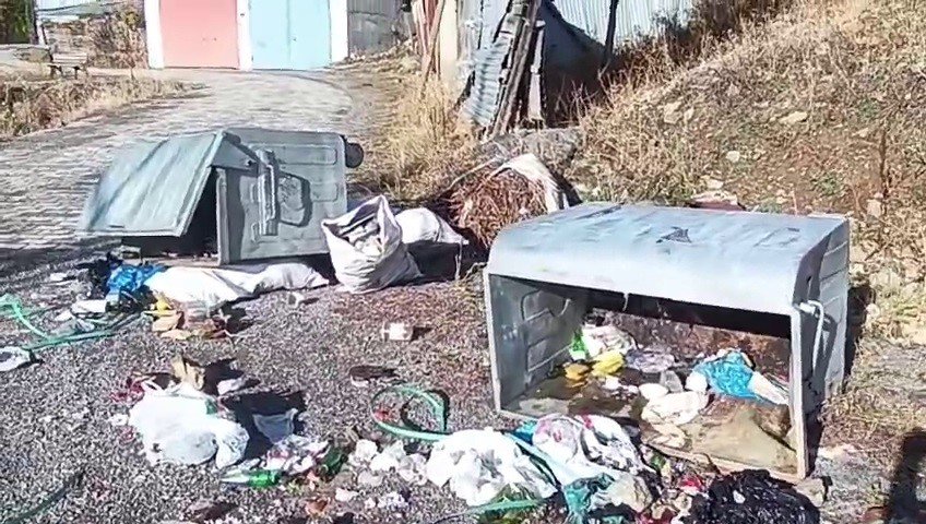 boz-ayilar-yedigolleri-savas-alanina-cevirdi