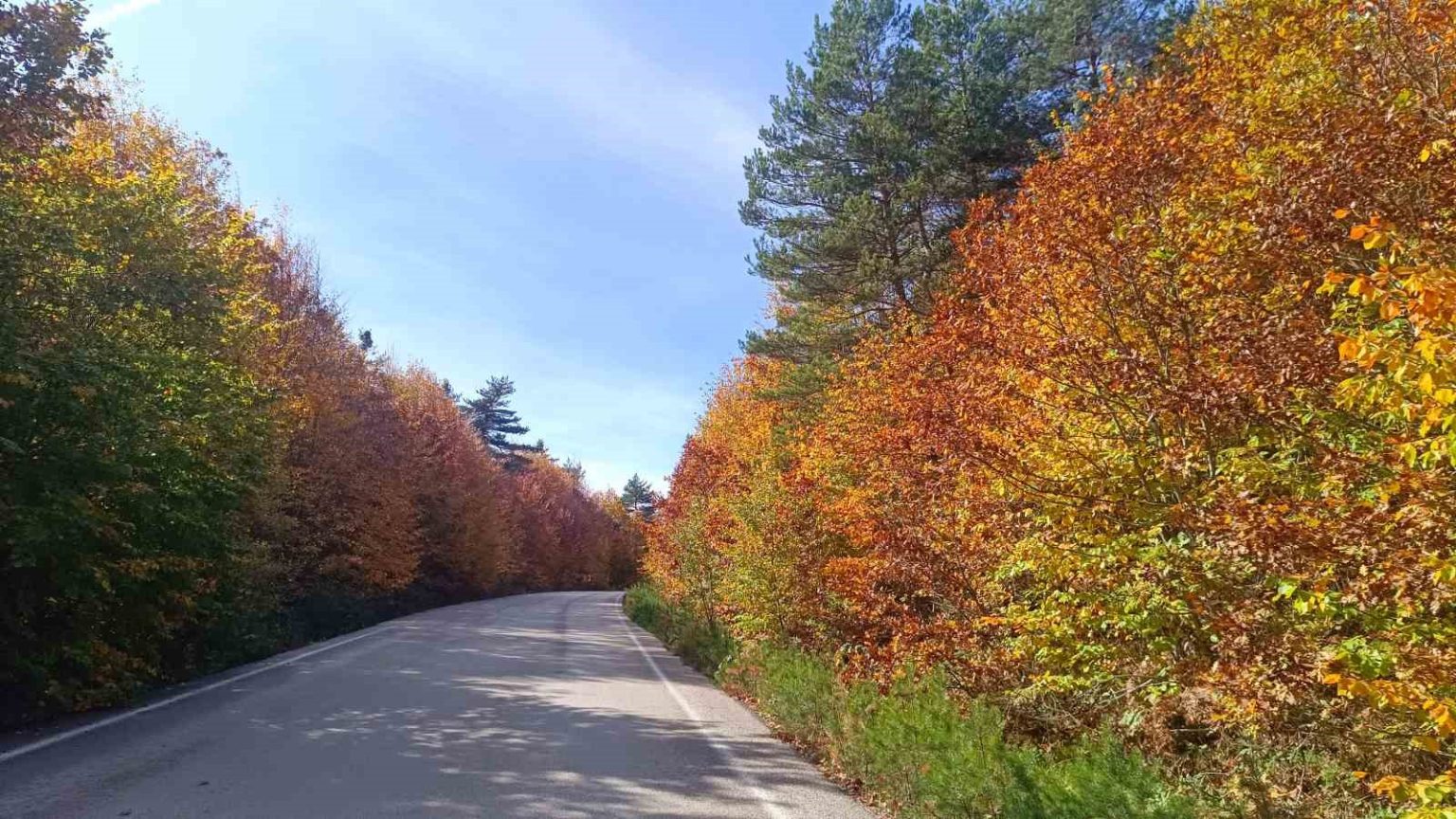 bozcaarmutda-sonbahar-buyusu