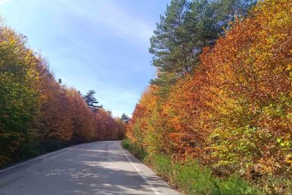 bozcaarmutda-sonbahar-buyusu