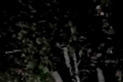 dikenli-tellerin-arasinda-mahsur-kalan-ayi-kurtarildi