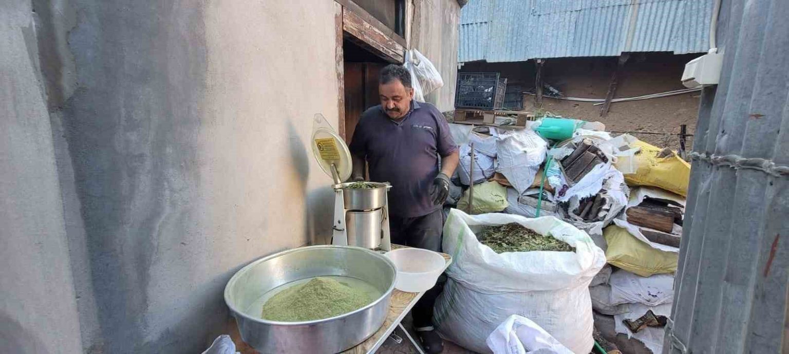 doganin-hediyesi-120-bitkiden-olusan-zetrin-baharati-yeniden-kesfediliyor