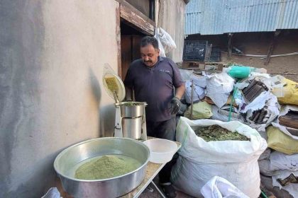 doganin-hediyesi-120-bitkiden-olusan-zetrin-baharati-yeniden-kesfediliyor