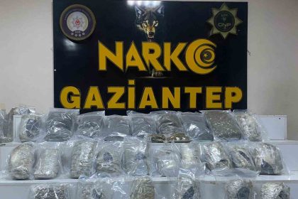 gaziantepte-13-kilo-skunk-ele-gecirildi
