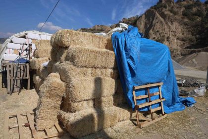 koskteki-saman-pazari-suruculere-zor-anlar-yasatiyor