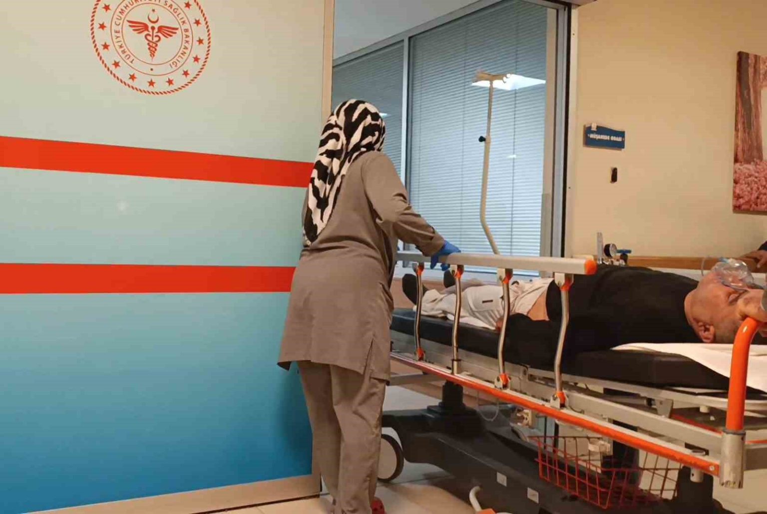 mantar-yedi-hastanelik-oldu