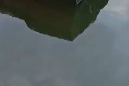 nesli-tukenmekte-olan-su-samuru-kucukcekmecede-goruldu