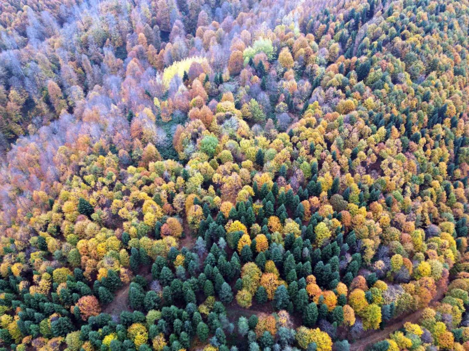 sakaryada-sonbahar-guzelligi-goz-kamastiriyor