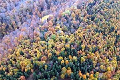 sakaryada-sonbahar-guzelligi-goz-kamastiriyor