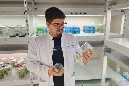 yuksek-antioksidan-kapasiteye-sahip-yeni-domates-gelistirilecek