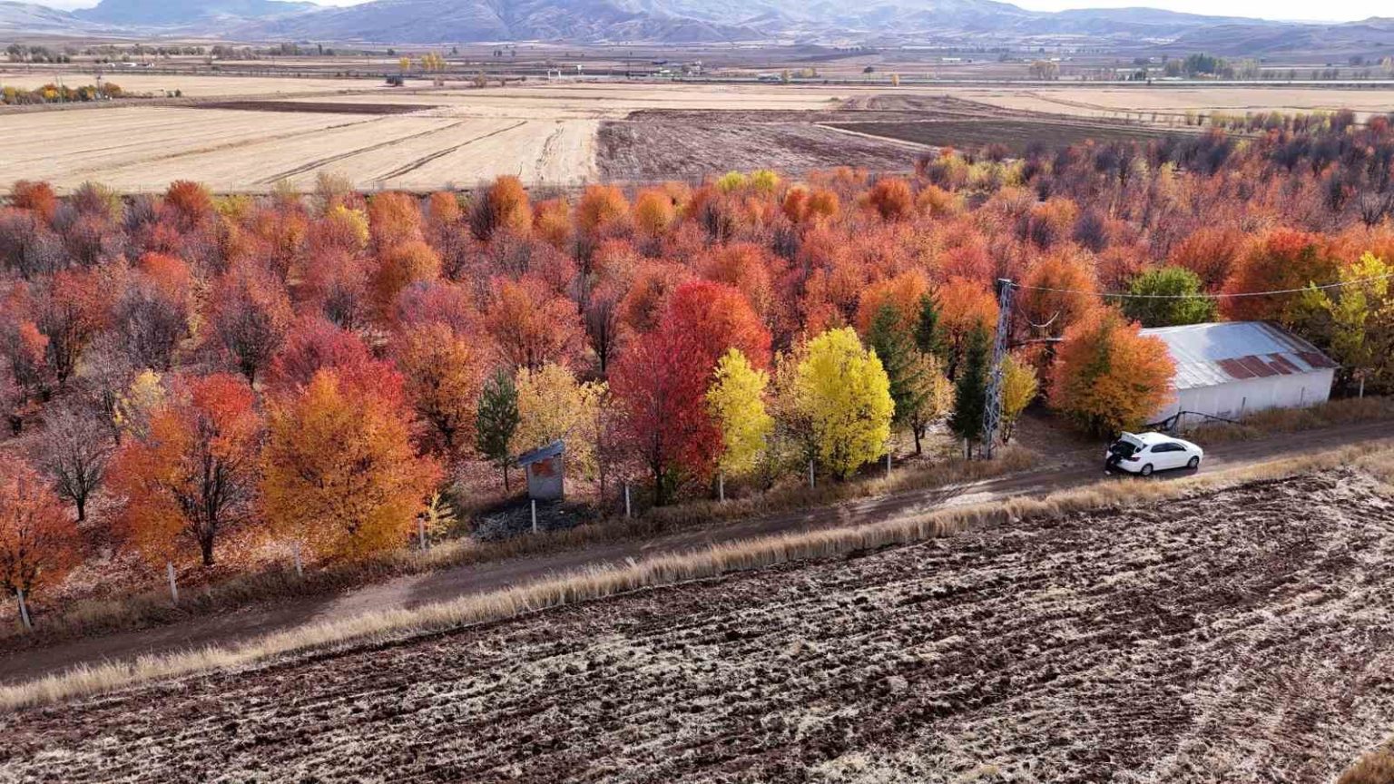4-mevsim-farkli-bir-manzara-sunuyor-sonbaharda-mest-ediyor