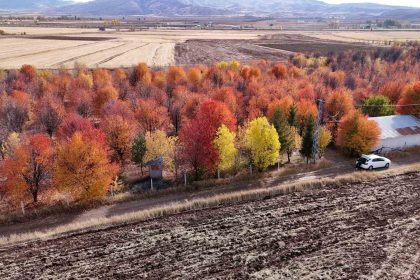 4-mevsim-farkli-bir-manzara-sunuyor-sonbaharda-mest-ediyor