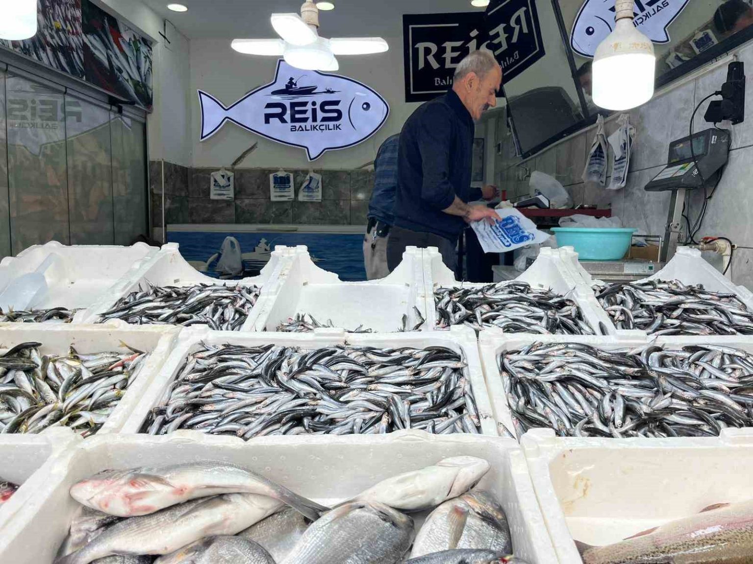 bayburtta-baliklar-tezgahlarda-yerini-aldi