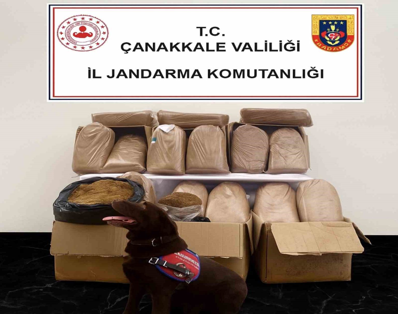 canakkalede-kacakcilik-operasyonu